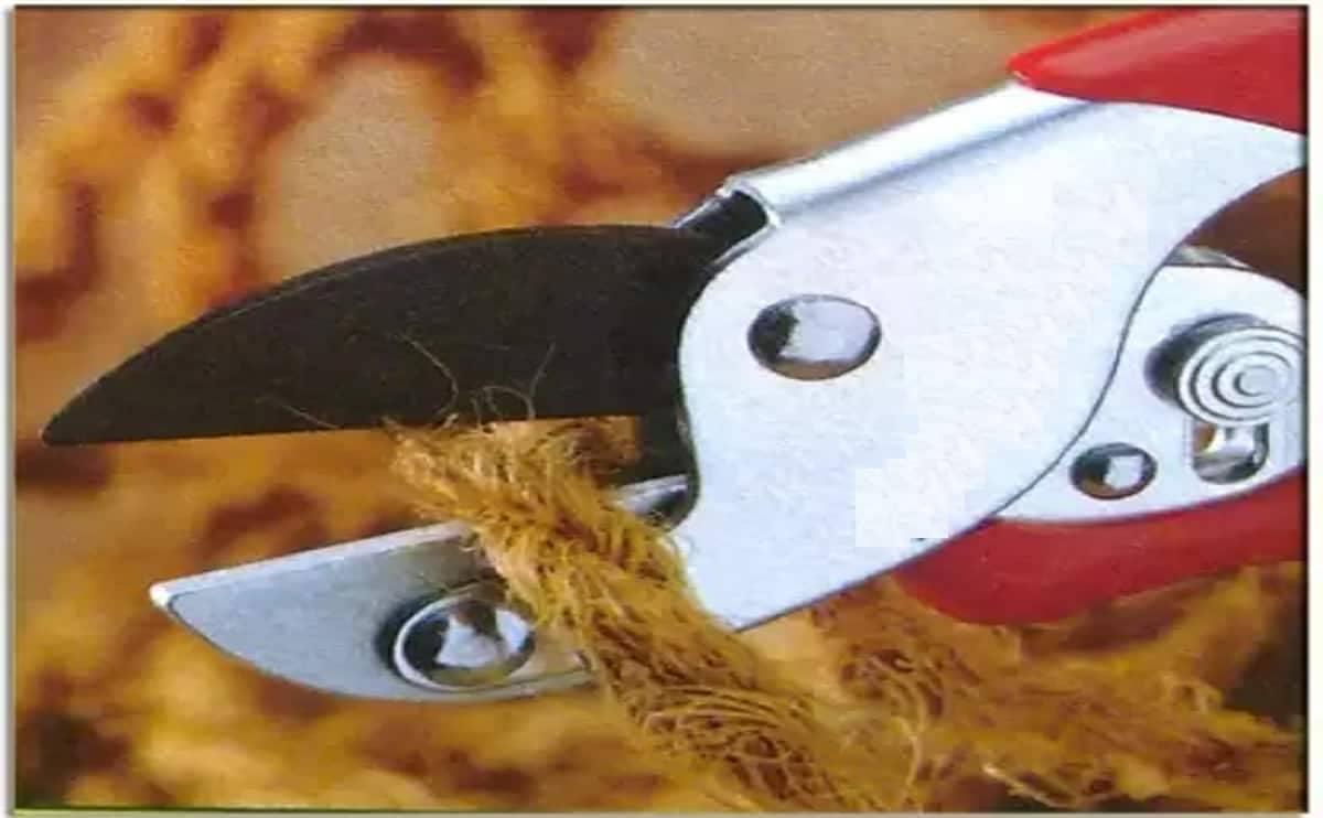 AG011 Pruning shear 3