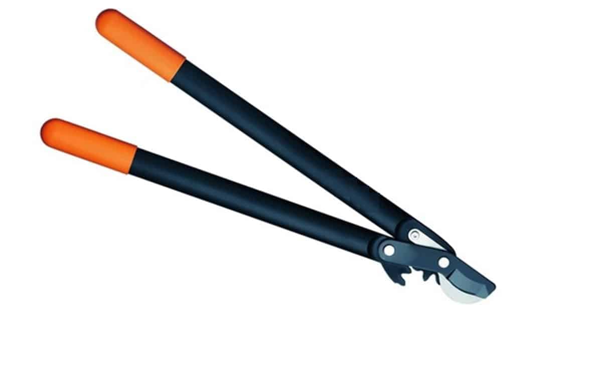 AG015 Bypass lopper 1