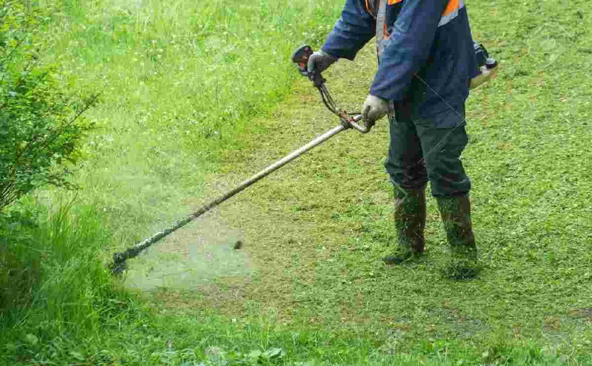 AG019 Brush cutter 3