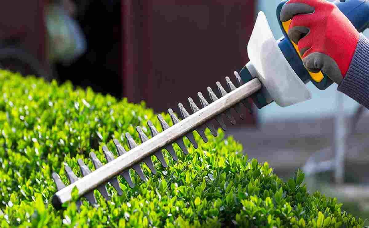 AG021 hedge trimmer 1