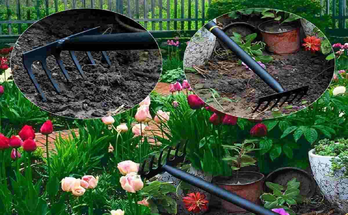 AG032 Lawn hand rake 3