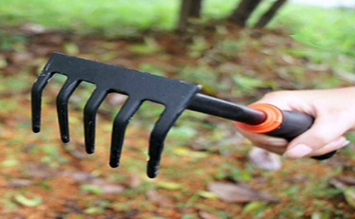 AG032 Lawn hand rake 6 1