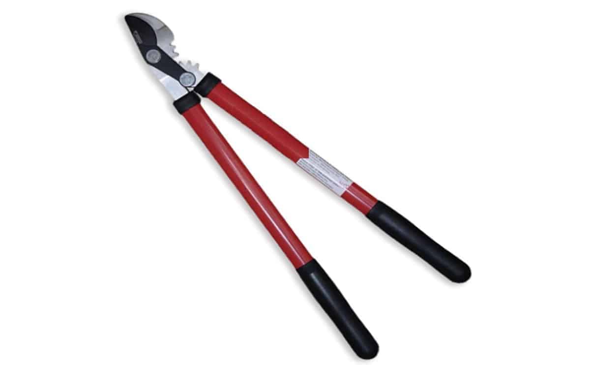AG098 lopper 1