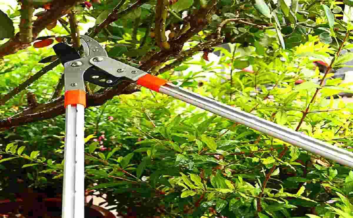 AG099 Gear lopper 2