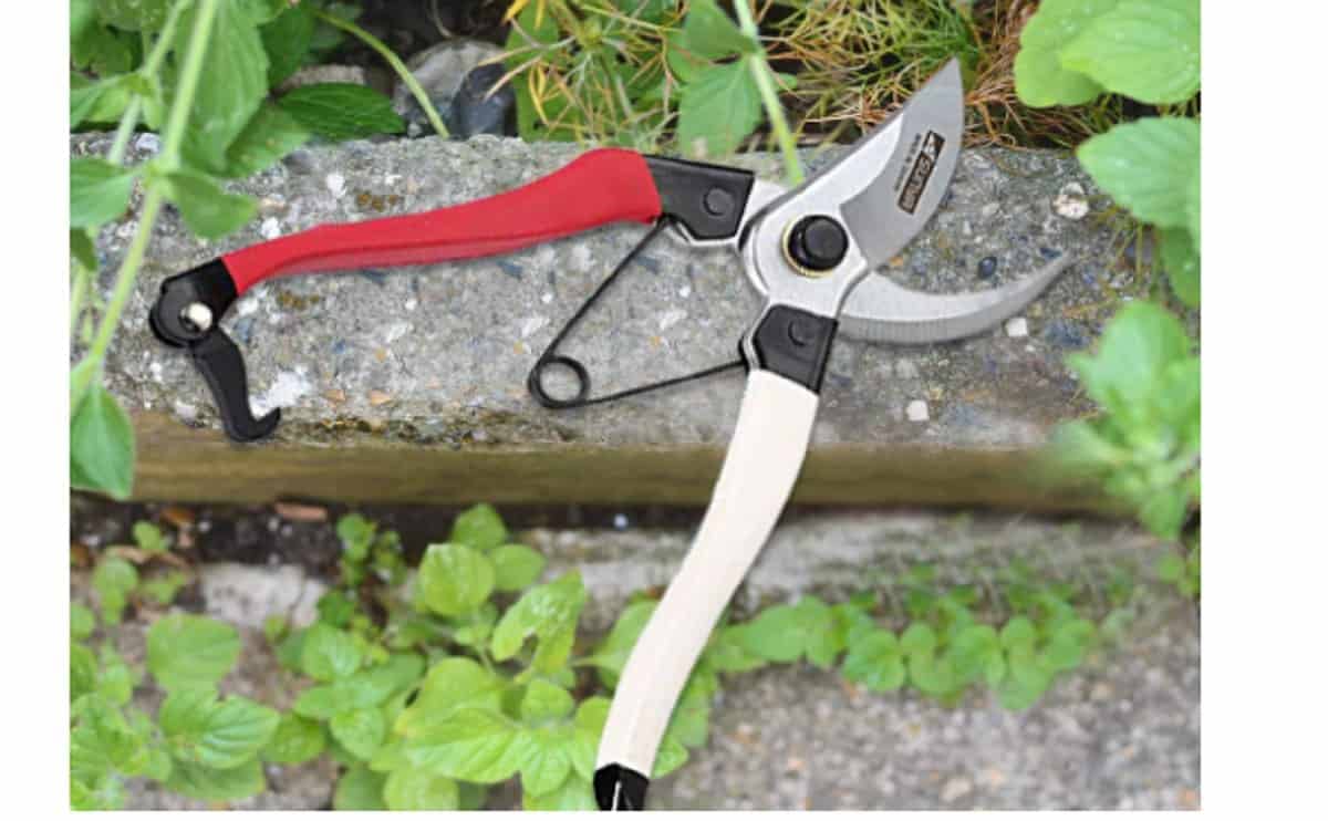 AG100 Bypass pruner 1