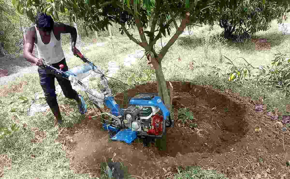 AG102 weeder 3 1