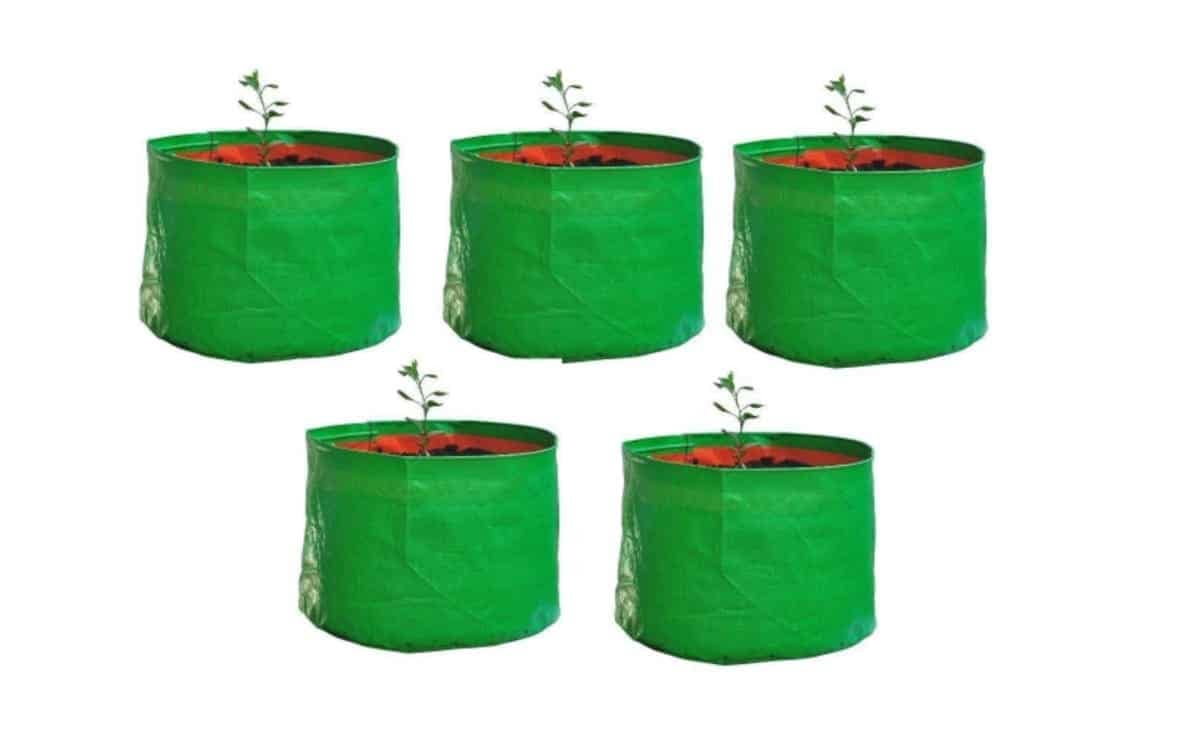 Nursery bags for plants