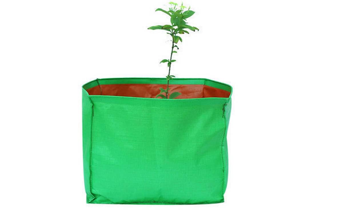 AG119 Grow bag vertical 4
