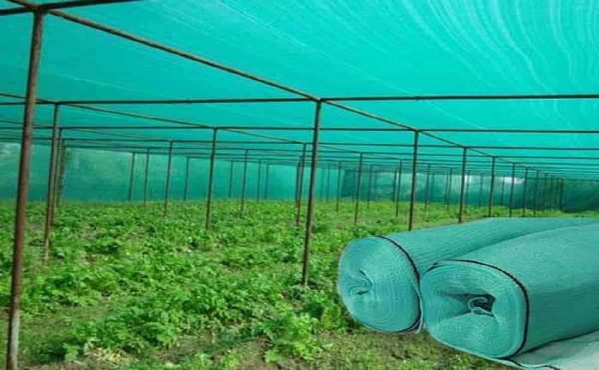 AG121 Shade nets 5