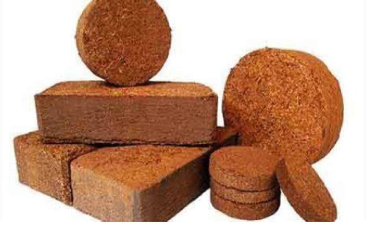Coco peat block