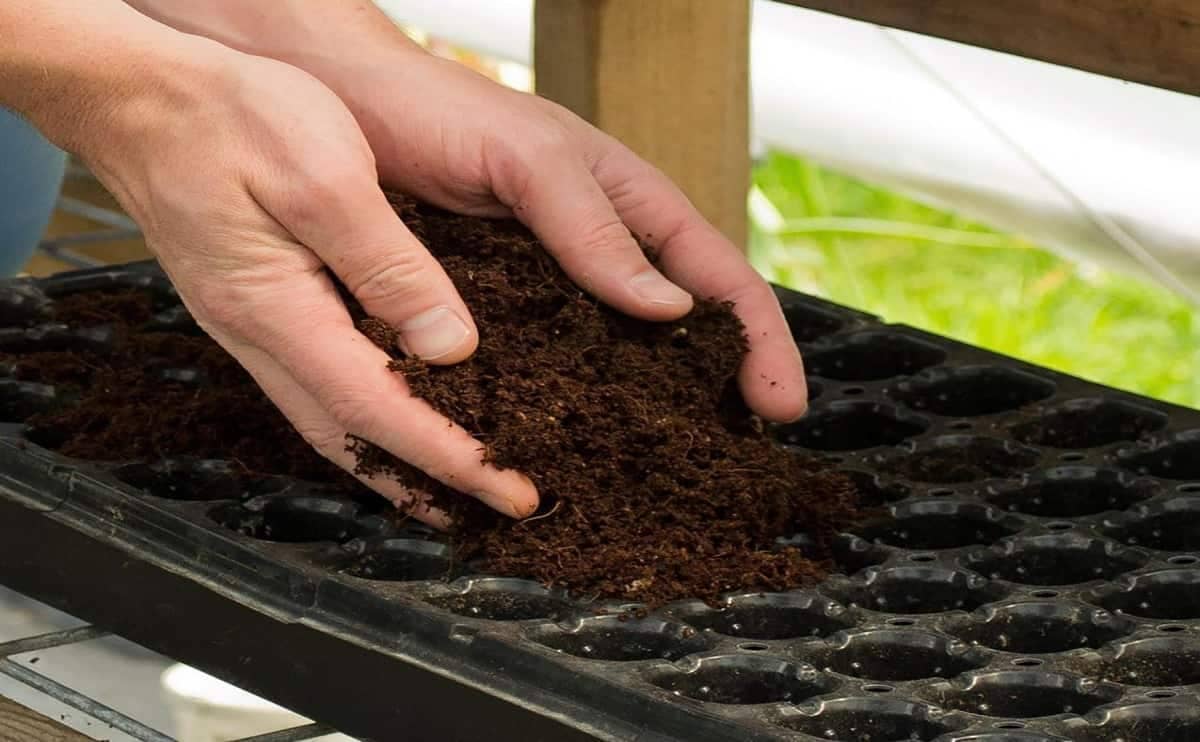 AG124 Cocopeat 4