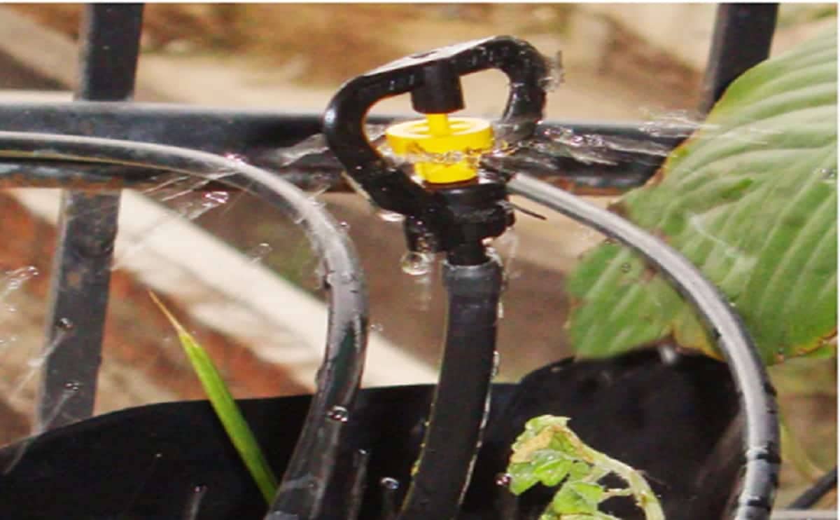 AG131 Mist sprinkler 4 1
