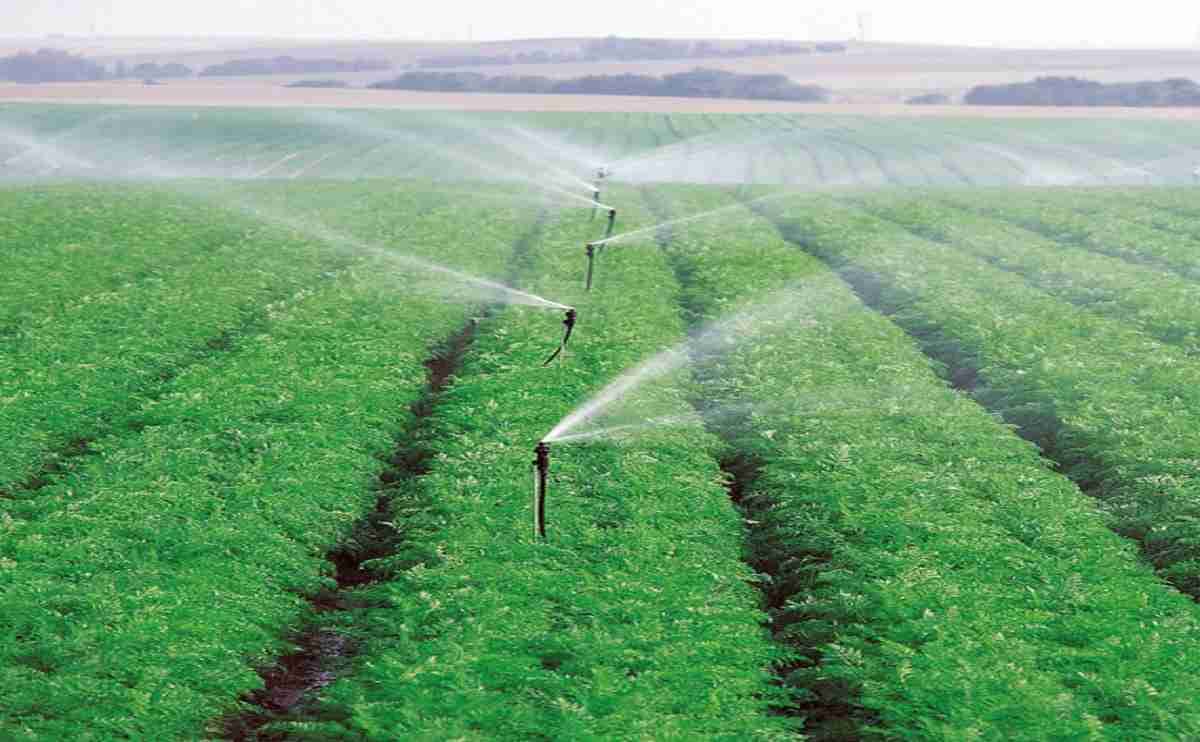 AG134 Sprinkler 3