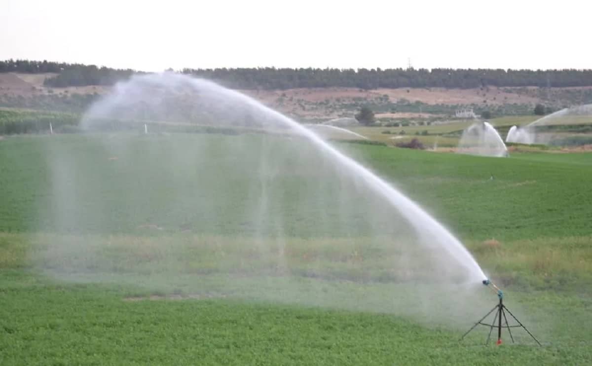 AG136 Raingun sprinkler 3