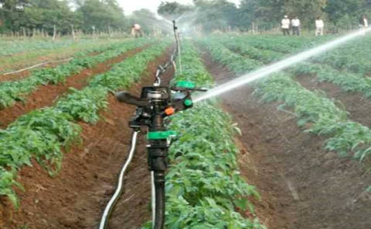 AG138 Plastic sprinkler 3
