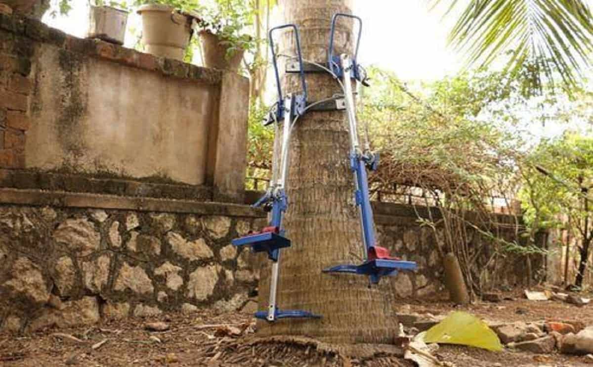 AG144 coconut tree climber 2