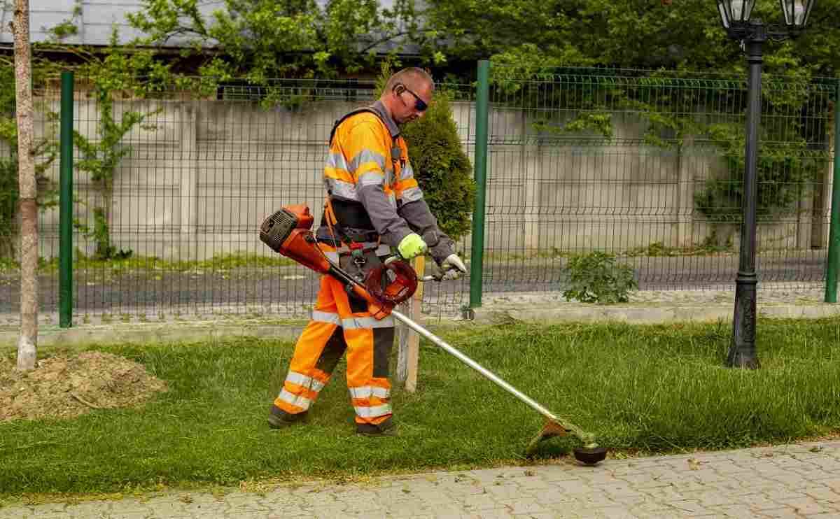 AG167 Brush cutter 2