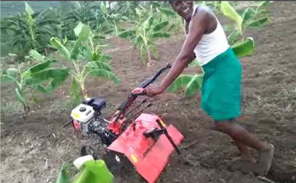 AG275 Power weeder vis108