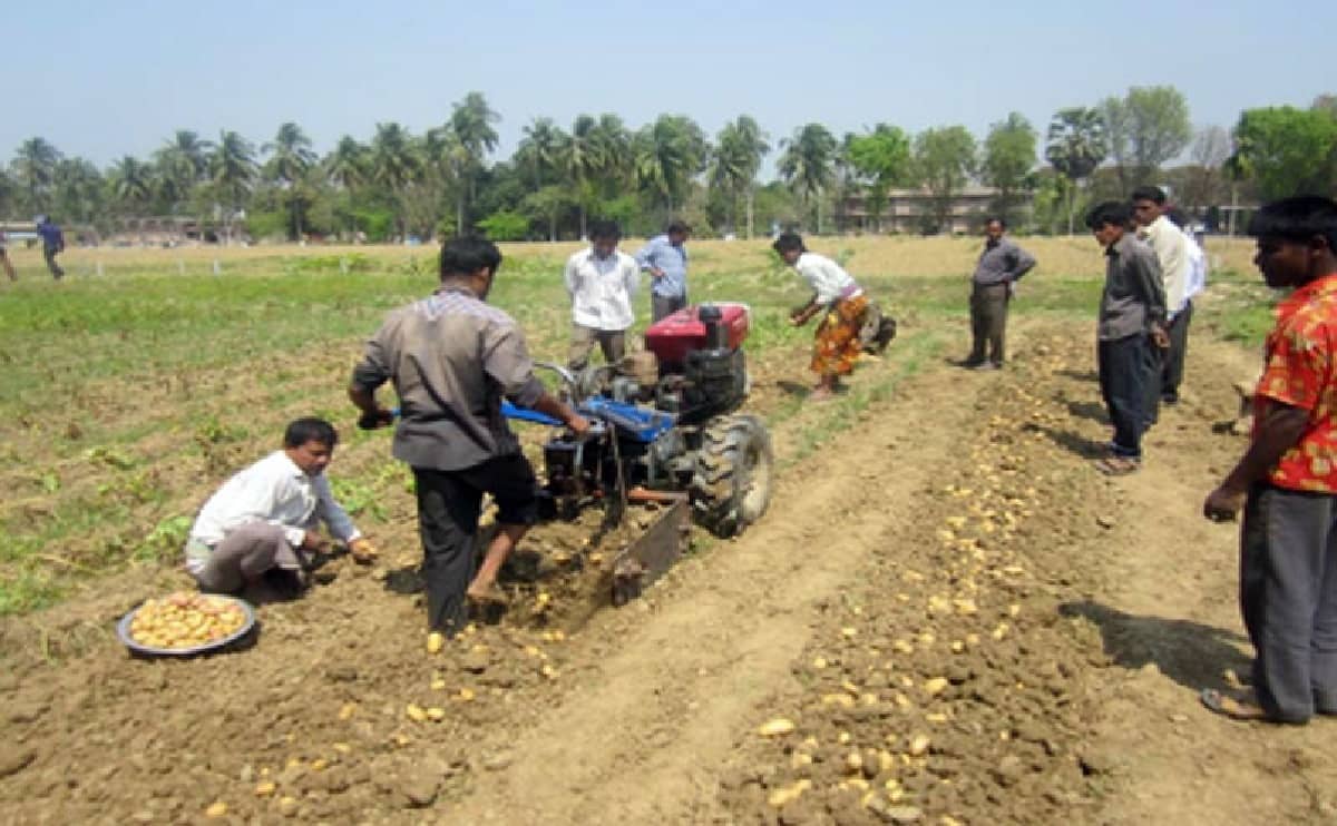 AG311 Pototo ridger 1