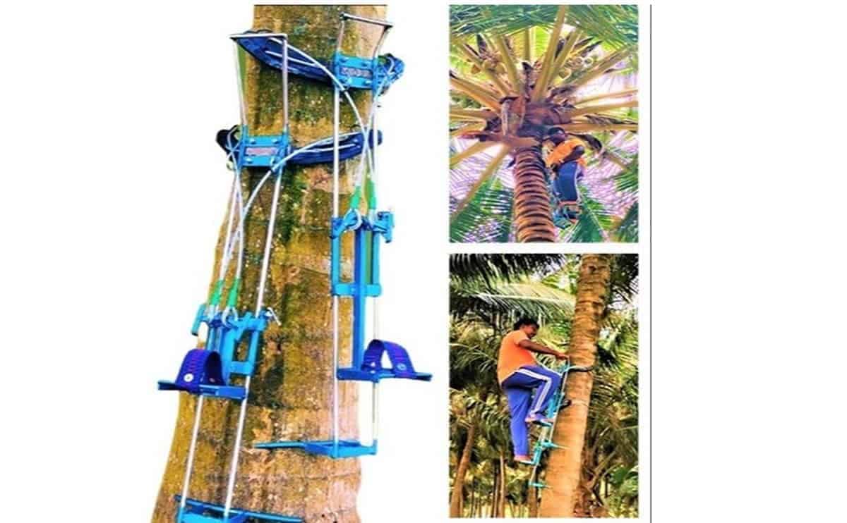 AG144 coconut tree climber 1