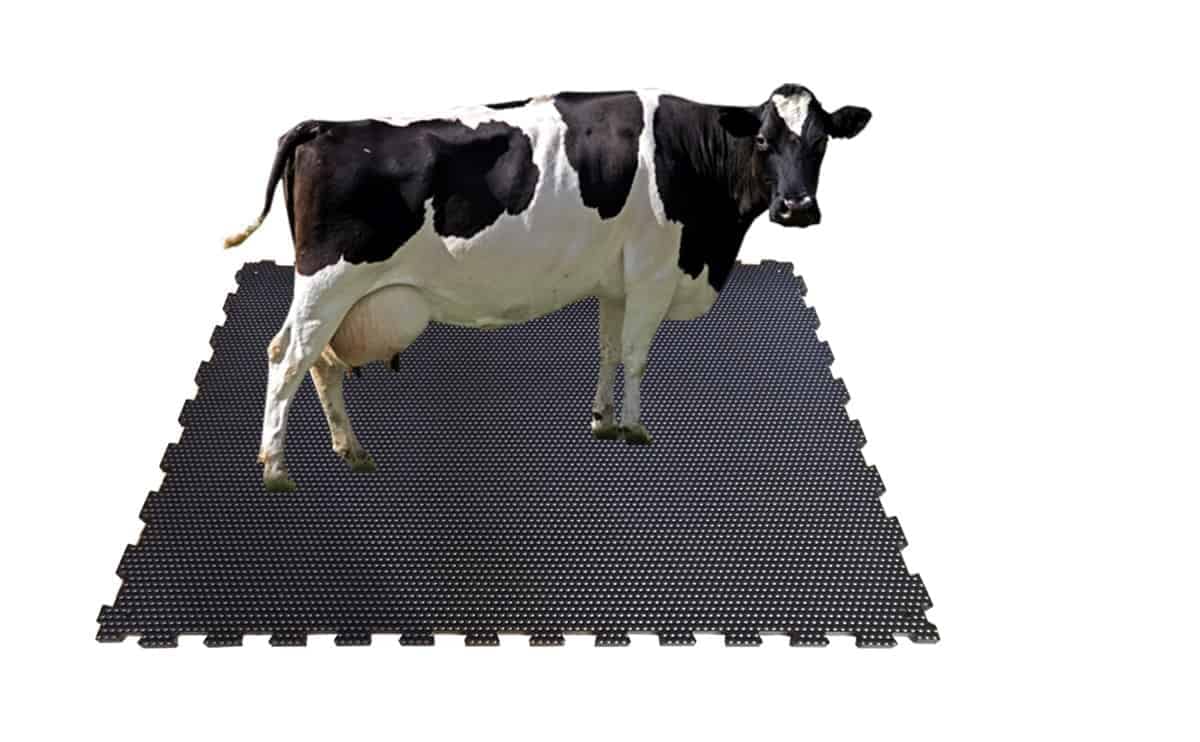 AG159 Cow mat 1