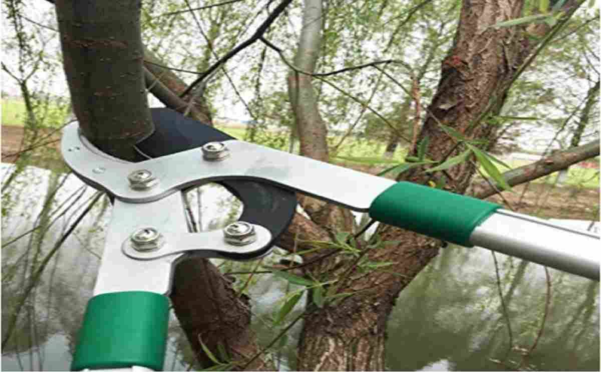 Branch cutter Telescopic extra leverage
