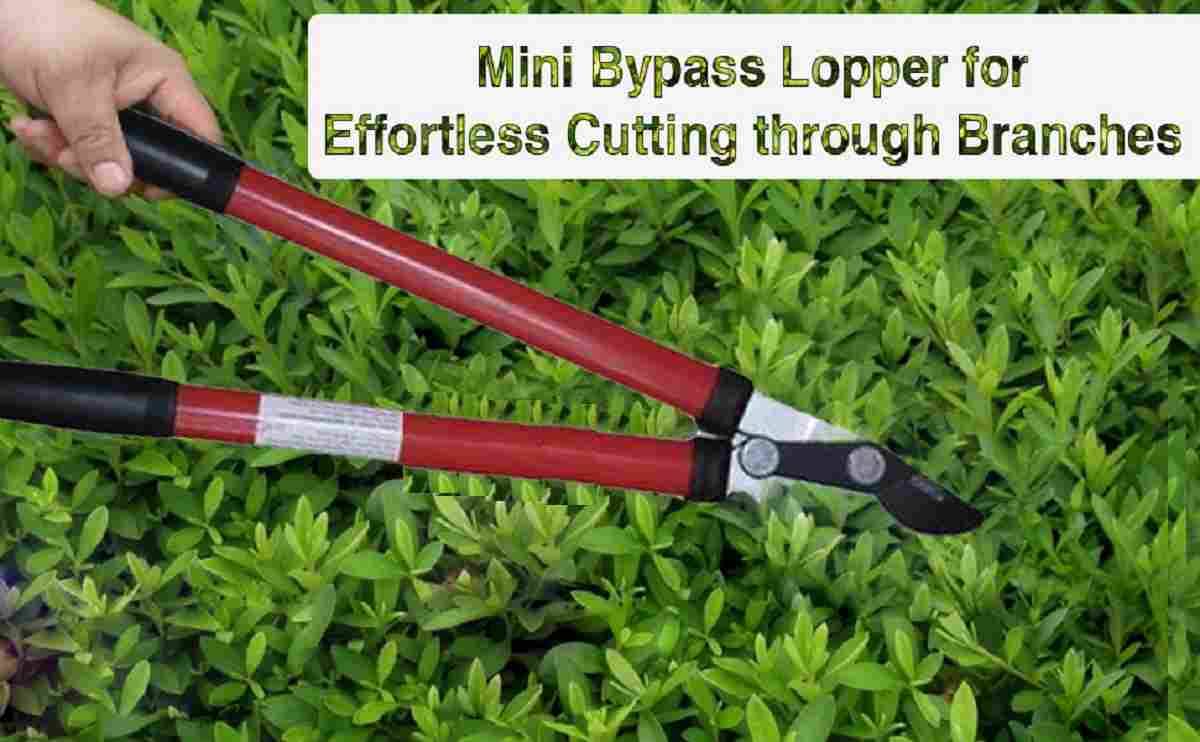 Loppers garden outlet