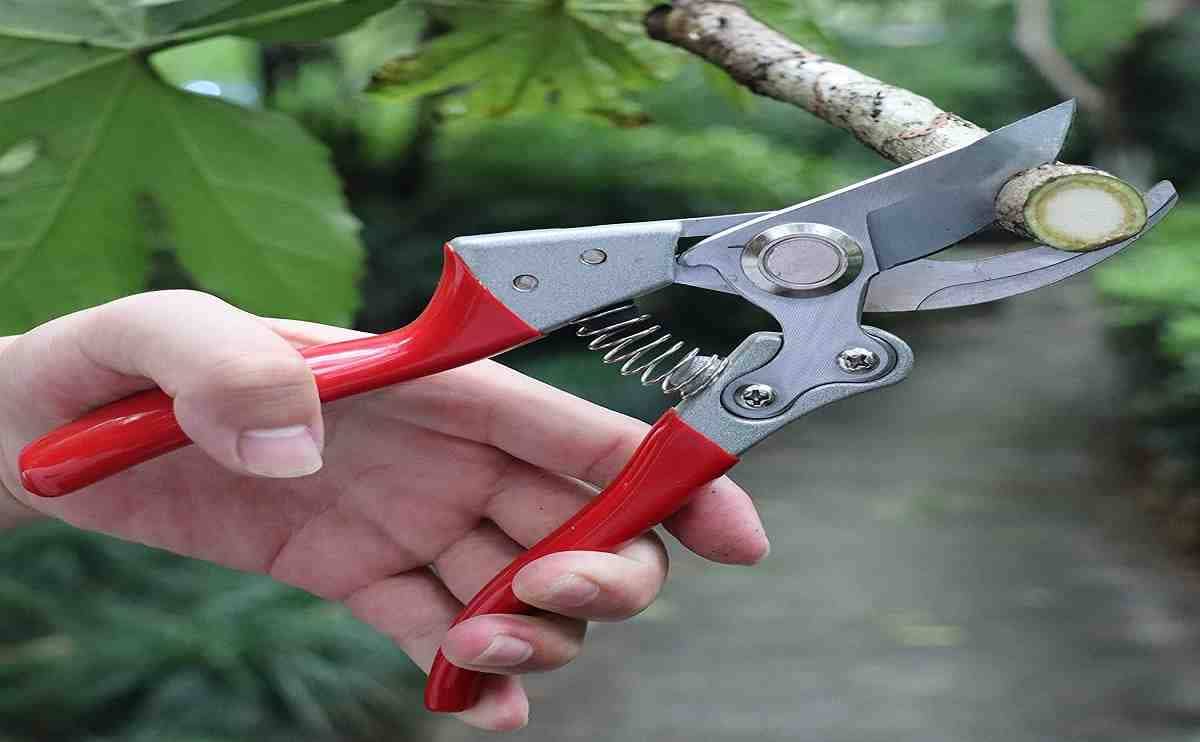 Pruning cutter deals price