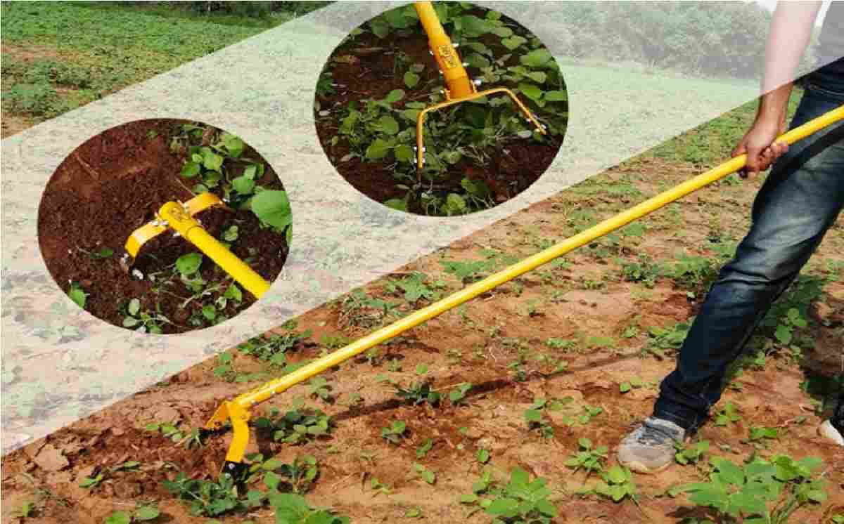 AG246 Weeder hoe3