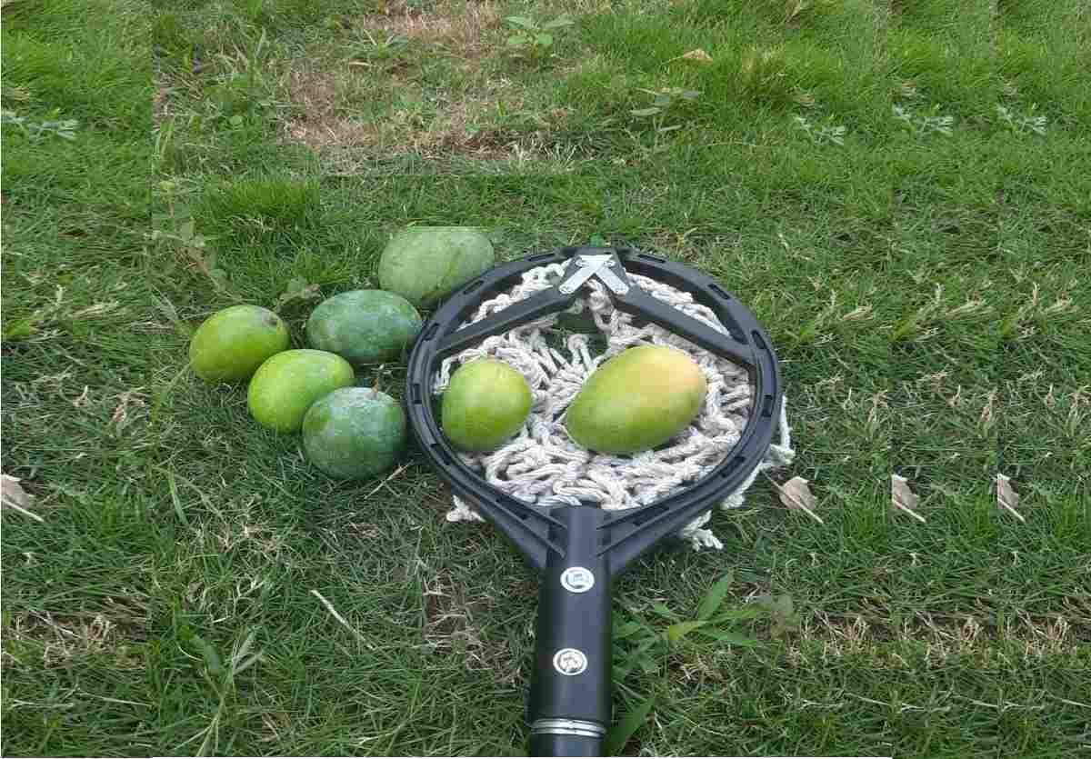 AG249 FRUIT PLUGER 3