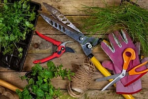 Agricultural garden tools