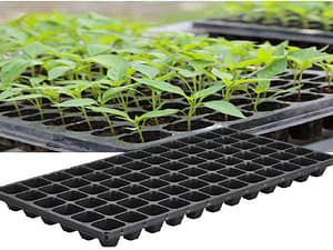 Seedling tray