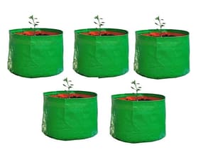 Nursery bags for plants