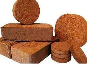 Coco peat block