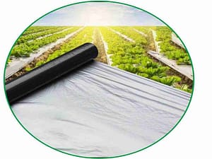 Mulch film size of 1m x 400 m for growing food and vegetable crops