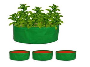 Spinach grow bags