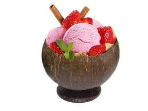 Coconut Shell Ice Cream Bowl