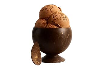 Coconut Shell Ice Cream Cup