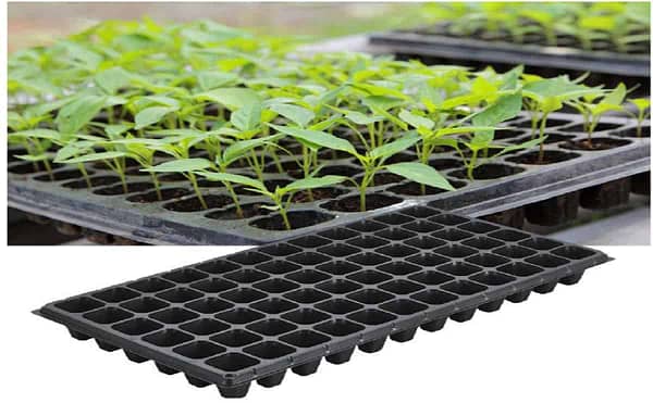 Seedling tray