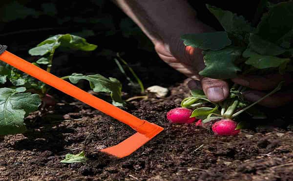 Garden hoe with pin steel garden hoe with three Pin gardening tools equipments - Image 3