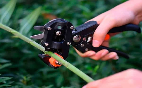 Grafting tool professional high standard garden tool for agricultural equipments - Image 2