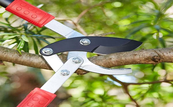 Lopping shears with long handle tree pruning tools with high quality and stainless steel blades anti rust for standard gardening tools - Image 4