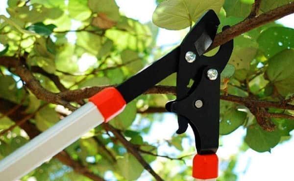 Loppers shear drop forged steel material blades heavy duty professional garden tools farm tool equipments - Image 3