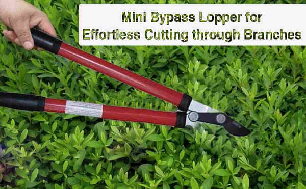 Loppers shear drop forged steel material blades heavy duty professional garden tools farm tool equipments - Image 2