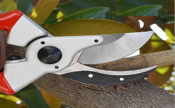 Plant pruning cutter high carbon steel blades professional pruning cutter price pruning cutter farm tool implements - Image 2