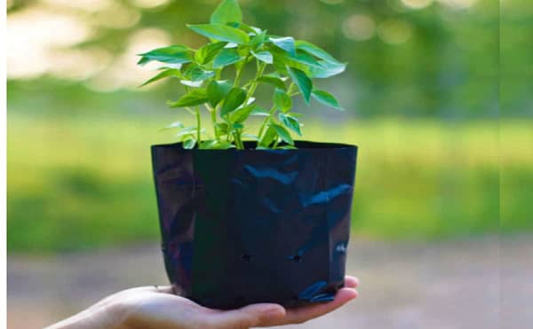 Black grow bags and nursery grow bags for gardens - Image 3