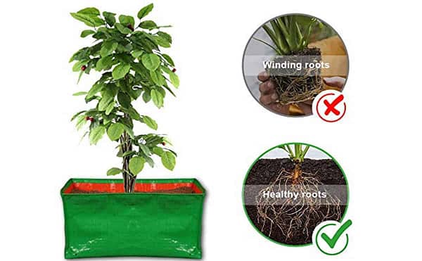 HDPE grow bags for home gardening - Image 4