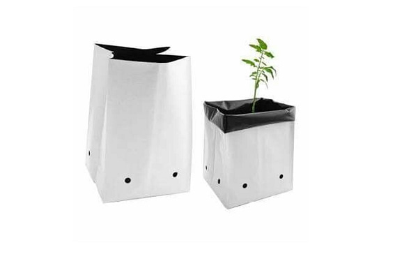 LDPE grow bags for gardening - Image 2