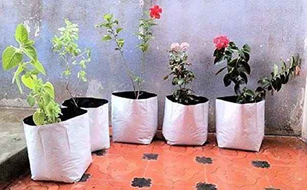 LDPE grow bags for gardening - Image 3