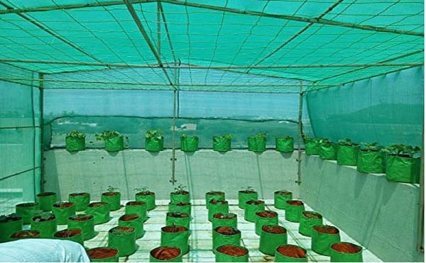 Shade nets or green garden nets for terrace gardening . - Image 2